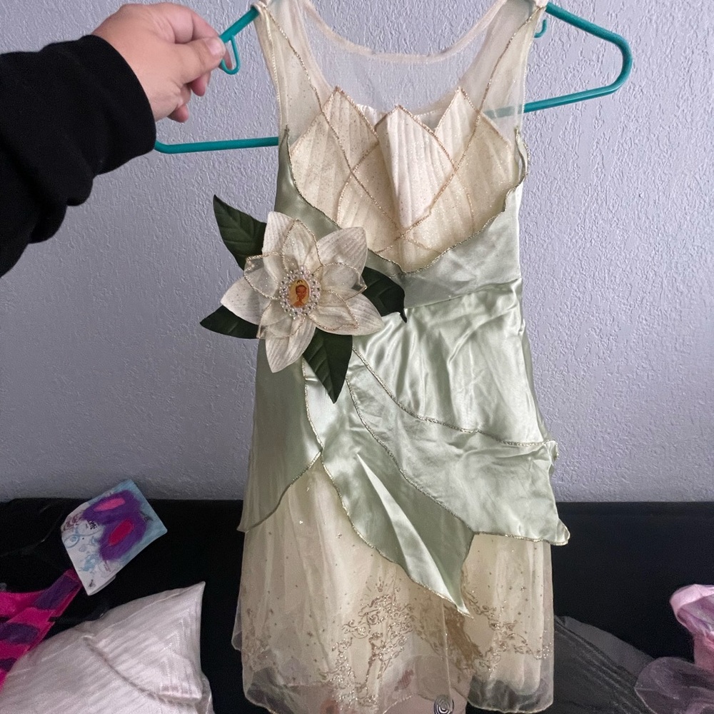 Disney Tiana Costume